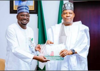 REA’s N28.7 Billion Intervention Lights Up Rural Nigeria