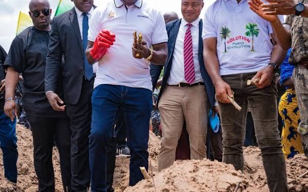 Food Prices Plummet: Relief for Consumers in Anambra, Ebonyi, and Enugu Markets