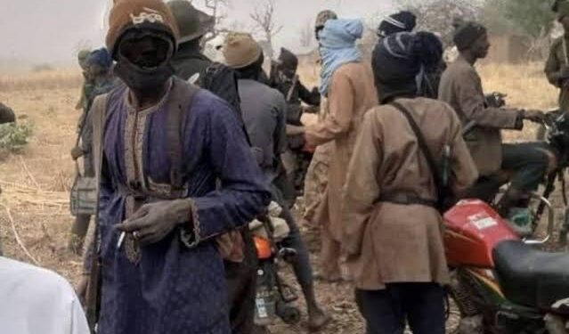 Four farmers feared killed in fresh Borno attack