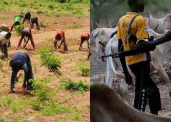 Teenage Farmer Killed by Suspected Herders in Ondo Community