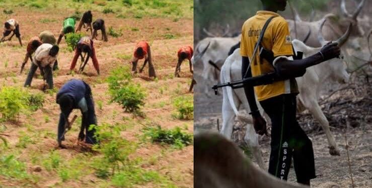 Teenage Farmer Killed by Suspected Herders in Ondo Community