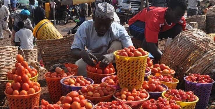 Perishable Product Prices Drop in Yobe, Borno, and Adamawa