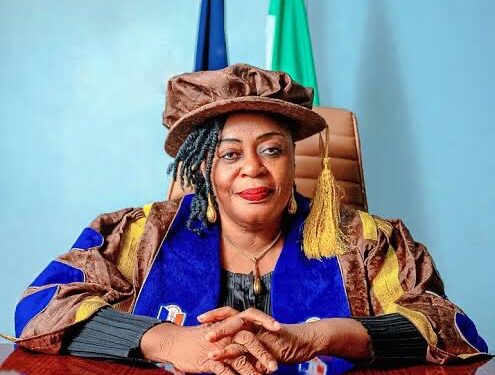 UNIZIK Vice Chancellor Summoned by House Committee Over Project Execution Issues