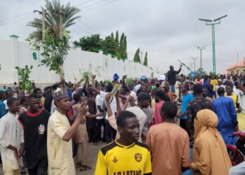 Kaduna, Zaria on Fire as N700bn Lost in 5 Days— ASBON, KACCIMA