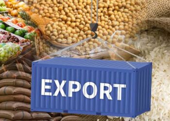 Nigeria Losing Millions to Export Rejection: NSC Call for Improved Packaging
