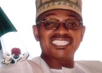 ‘Parliamentary System Will Not Solve Nigeria’s Problems’ -Former Presidential Candidate