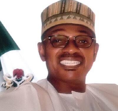 ‘Parliamentary System Will Not Solve Nigeria’s Problems’ -Former Presidential Candidate