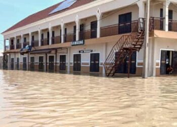 Dangerous Animals on Rampage as Flood Ravages Zoo, in Maiduguri
