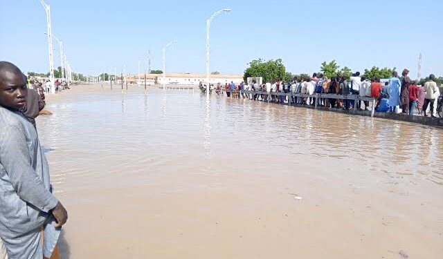 Flood Outbreak Leaves Thousands Displaced in Maiduguri