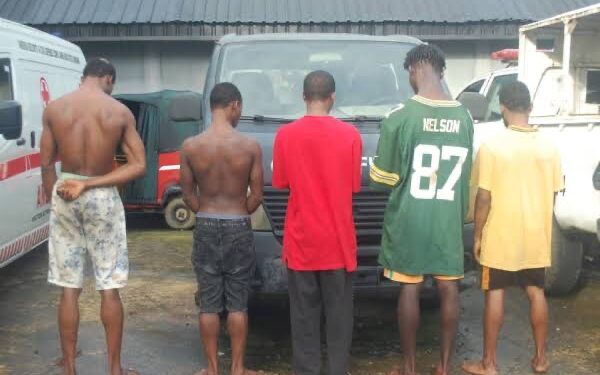 NSCDC Apprehends Suspected Power Cable Vandals