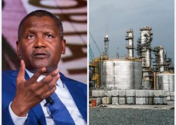 DAPPMAN Seeks Collaboration With Dangote Refinery to Boost Petrol Supply