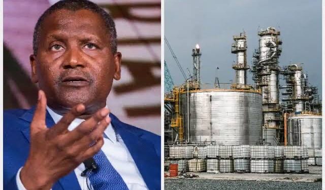 DAPPMAN Seeks Collaboration With Dangote Refinery to Boost Petrol Supply