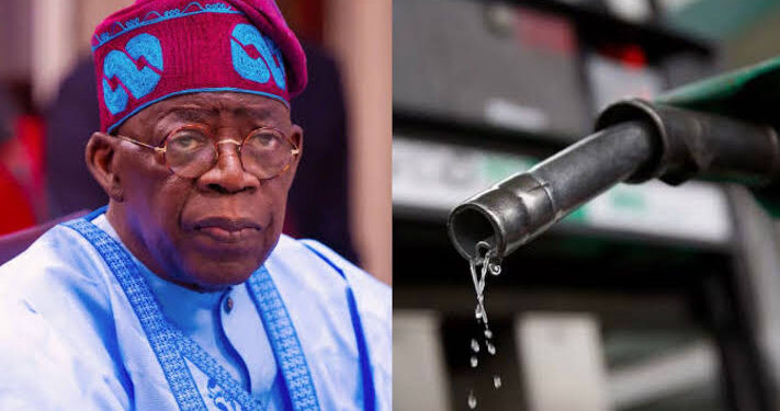 Federal Government Denies Plans to Raise Petrol Prices