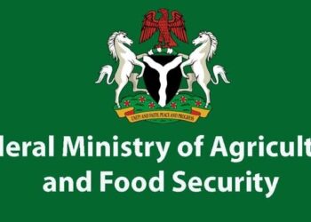 Long Queues, No Rice: FG’s Subsidized Rice Scheme Falls Apart