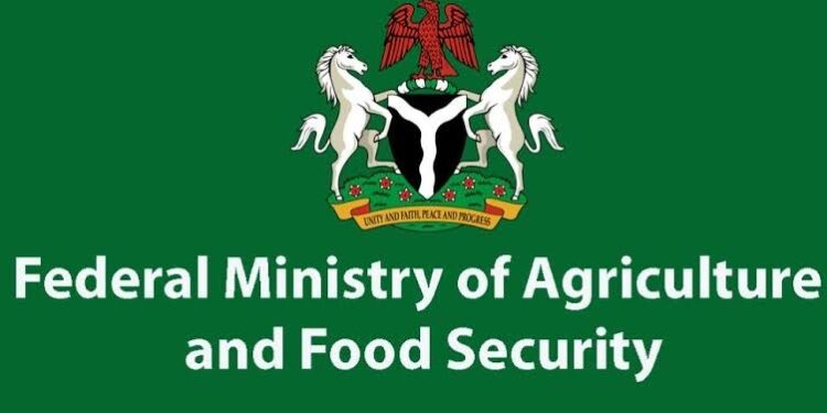 Long Queues, No Rice: FG’s Subsidized Rice Scheme Falls Apart
