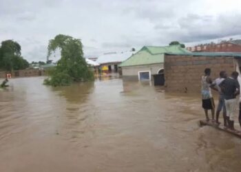 NNPP Youth Leader Calls for More Government Support to Maiduguri Flood Victims