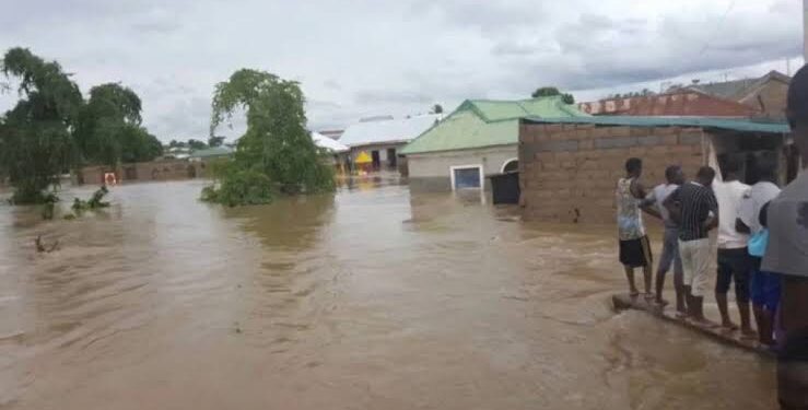 NNPP Youth Leader Calls for More Government Support to Maiduguri Flood Victims