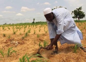 Heavy Flooding in Nigeria’s Agricultural Regions Spark Fears of Widespread Hunger