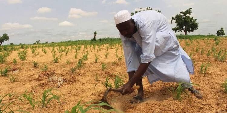 Heavy Flooding in Nigeria’s Agricultural Regions Spark Fears of Widespread Hunger