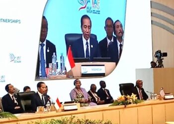 Indonesia-Africa Forum: Nigeria Leads Charge for Deeper Cooperation