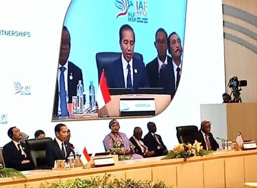 Indonesia-Africa Forum: Nigeria Leads Charge for Deeper Cooperation