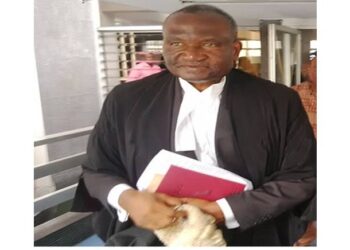 Despite Challenges, Nigeria’s Judiciary Remains Resilient, says Kanu Agabi