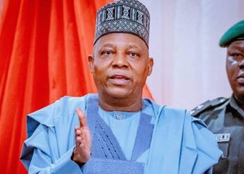 Shettima urges stronger ties between FG, traditional institutions