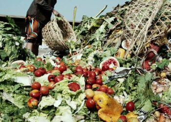 Nigeria’s Food Security in Jeopardy as Post-Harvest Losses Hit N3.5 Trillion
