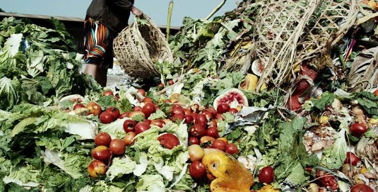 Nigeria’s Food Security in Jeopardy as Post-Harvest Losses Hit N3.5 Trillion