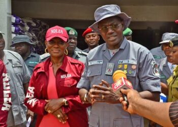 NCS Cracks Down on Drug Trade, Seizes Over N519 Million Worth of Cannabis