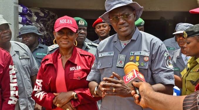 NCS Cracks Down on Drug Trade, Seizes Over N519 Million Worth of Cannabis