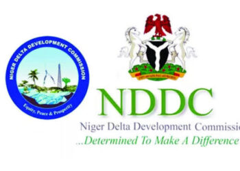 NDDC Takes Action Against Niger Delta Flooding Crisis