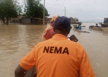 Federal Government Deploys NEMA To Borno Over Flood Disaster