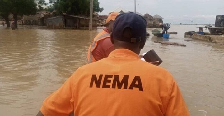Federal Government Deploys NEMA To Borno Over Flood Disaster