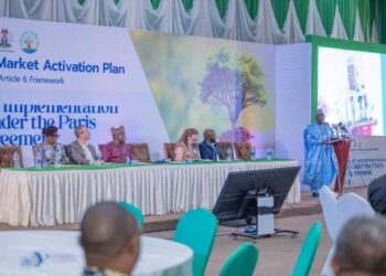 Nigeria’s Carbon Market to Unlock $2.5 Billion by 2030 – Federal Government