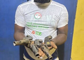 Edo Elections: Police Arrests Alleged PDP Thugs With Guns