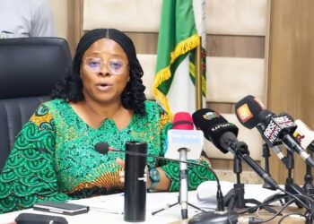 TCN Tower Damage Leaves Northeast Nigeria in Total Darkness