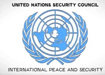 Nigeria Calls for Permanent Seat on UN Security Council, Highlighting Significant Contributions