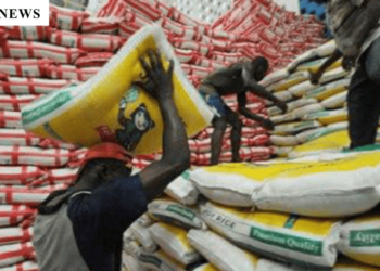Government Rolls Out Subsidised Rice in Major States to Combat Food Crisis