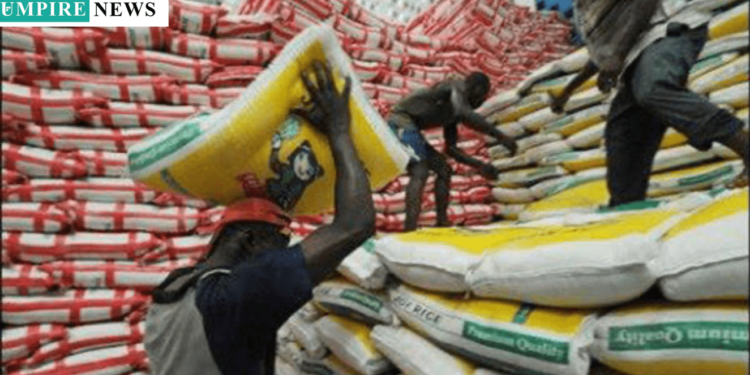Government Rolls Out Subsidised Rice in Major States to Combat Food Crisis