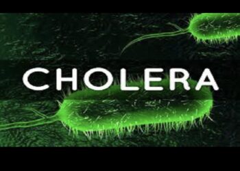 Cholera Outbreak Hits Kaduna, One Death Recorded