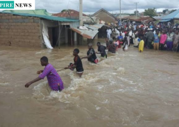 IOM Mobilizes $1.8 Million to Tackle Devastating Flood Across Nigeria