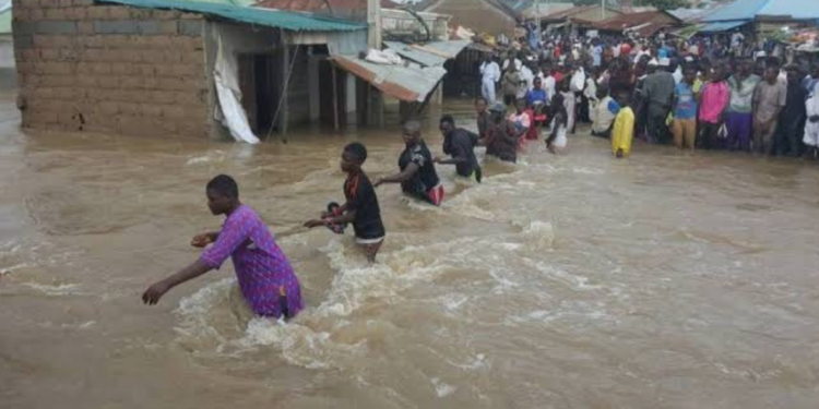 IOM Mobilizes $1.8 Million to Tackle Devastating Flood Across Nigeria