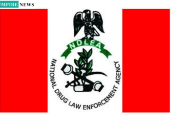 Customs Intercept Smuggled Cannabis, Hands Over to NDLEA in Crackdown on Drug Trafficking