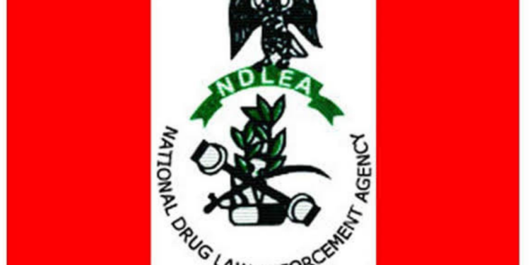 Customs Intercept Smuggled Cannabis, Hands Over to NDLEA in Crackdown on Drug Trafficking