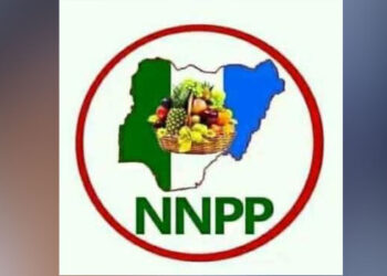 NNPP Wins Kano Local Government Election after legal tussles