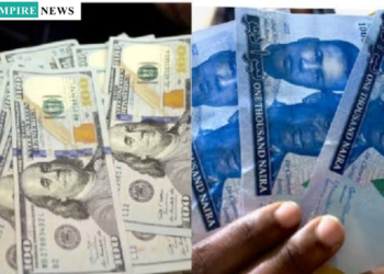 Naira Falls as Forex Scarcity Hits BDC, Operators Blame IMTOs for Shortage