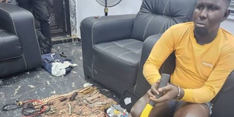 Police Arrest Suspected Rapist and Armed Robber in Ogun State