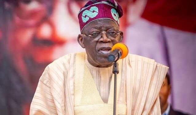 President Tinubu Advocates for Unified Action Towards Nigeria’s Economic Growth