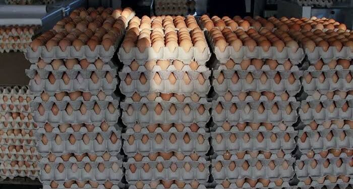 Hyperinflation: Families Turn to Cheaper Protein Sources as Meat, Egg Prices Skyrocket Across Nigeria